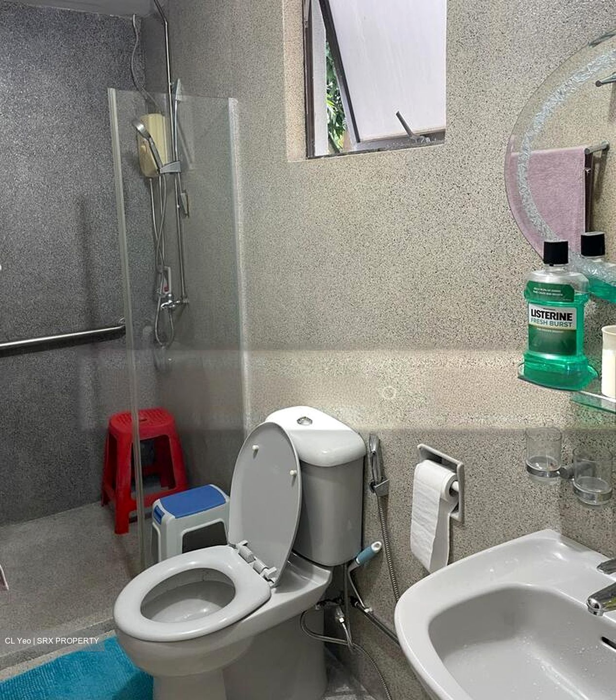 Birchwood Mansions (D12), Apartment #503935701